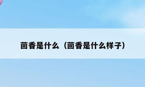 茴香是什么（茴香是什么样子）