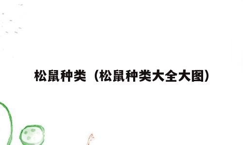 松鼠种类（松鼠种类大全大图）