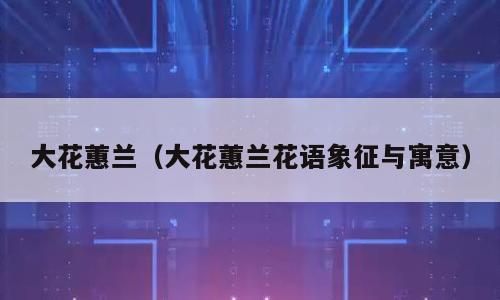 大花蕙兰（大花蕙兰花语象征与寓意）