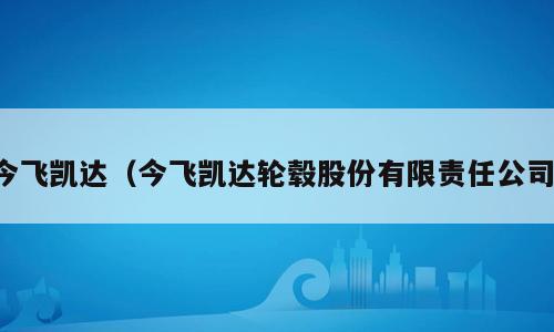 今飞凯达（今飞凯达轮毂股份有限责任公司）