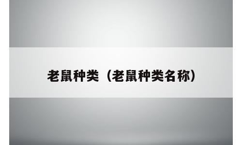老鼠种类（老鼠种类名称）