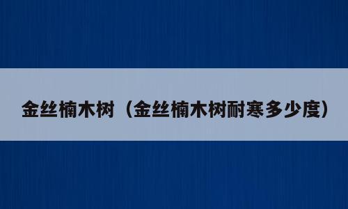 金丝楠木树（金丝楠木树耐寒多少度）