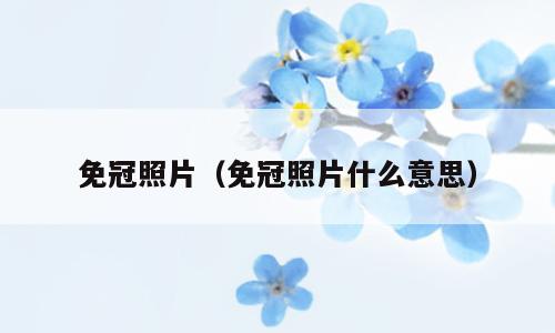 免冠照片（免冠照片什么意思）