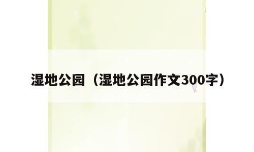 湿地公园（湿地公园作文300字）