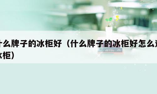 什么牌子的冰柜好（什么牌子的冰柜好怎么选冰柜）