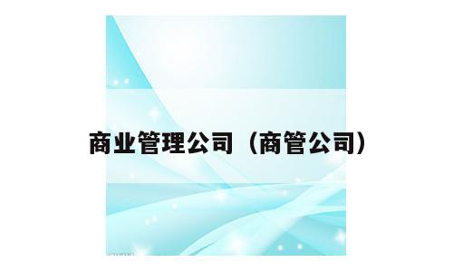 商业管理公司（商管公司）
