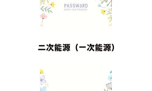 二次能源（一次能源）