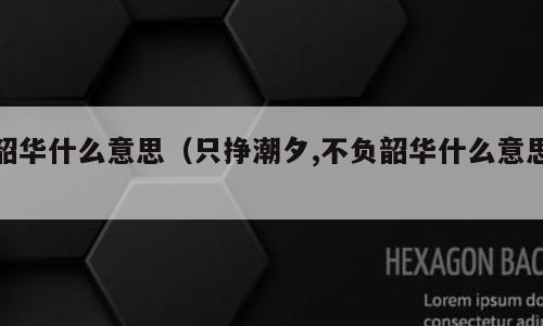 韶华什么意思（只挣潮夕,不负韶华什么意思）