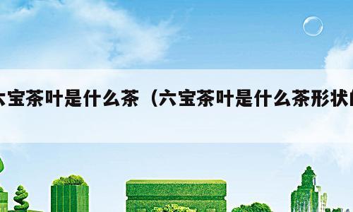 六宝茶叶是什么茶（六宝茶叶是什么茶形状的）
