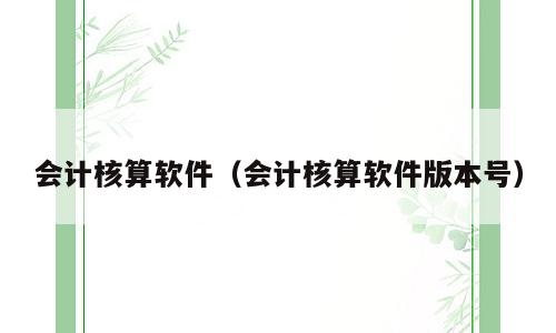 会计核算软件（会计核算软件版本号）