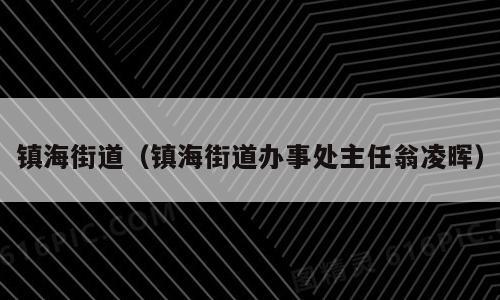 镇海街道（镇海街道办事处主任翁凌晖）