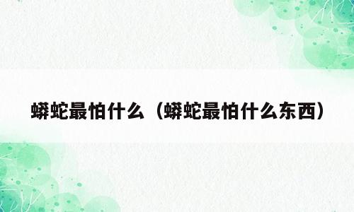 蟒蛇最怕什么（蟒蛇最怕什么东西）