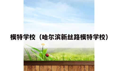 模特学校（哈尔滨新丝路模特学校）