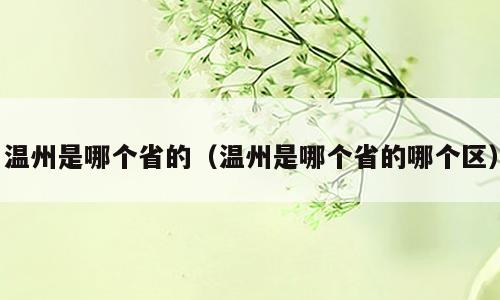 温州是哪个省的（温州是哪个省的哪个区）