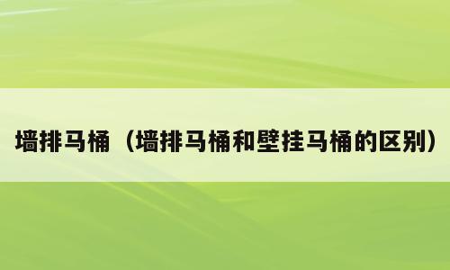 墙排马桶（墙排马桶和壁挂马桶的区别）