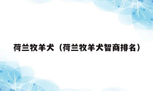 荷兰牧羊犬（荷兰牧羊犬智商排名）
