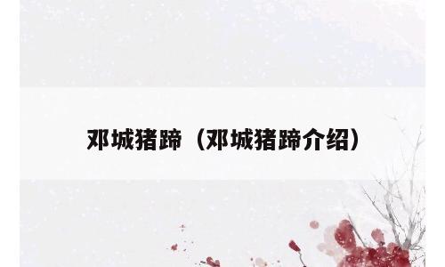 邓城猪蹄（邓城猪蹄介绍）