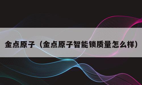 金点原子（金点原子智能锁质量怎么样）