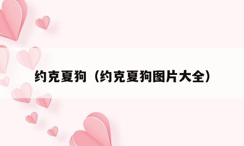 约克夏狗（约克夏狗图片大全）