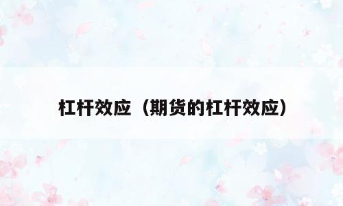 杠杆效应（期货的杠杆效应）
