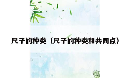 尺子的种类（尺子的种类和共同点）