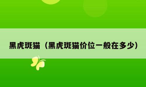 黑虎斑猫（黑虎斑猫价位一般在多少）