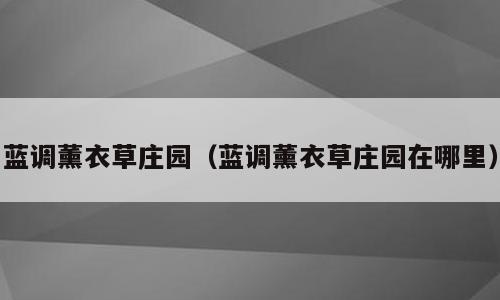 蓝调薰衣草庄园（蓝调薰衣草庄园在哪里）