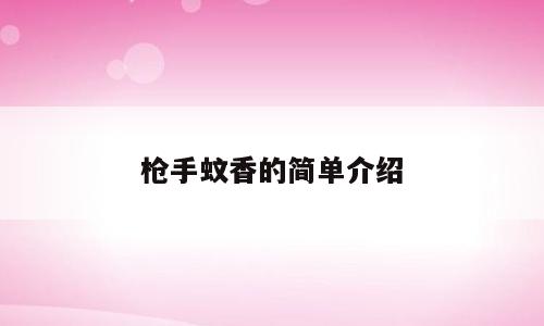 枪手蚊香的简单介绍