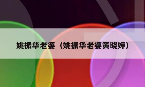 姚振华老婆（姚振华老婆黄晓婷）