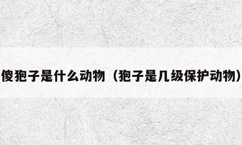 傻狍子是什么动物（狍子是几级保护动物）
