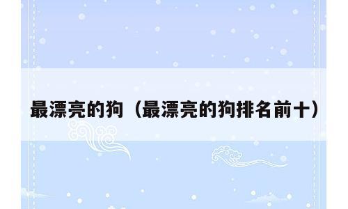 最漂亮的狗（最漂亮的狗排名前十）