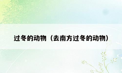 过冬的动物（去南方过冬的动物）