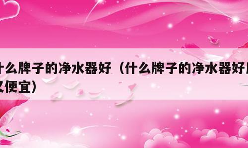 什么牌子的净水器好（什么牌子的净水器好用又便宜）