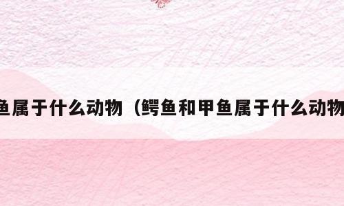 鱼属于什么动物（鳄鱼和甲鱼属于什么动物）