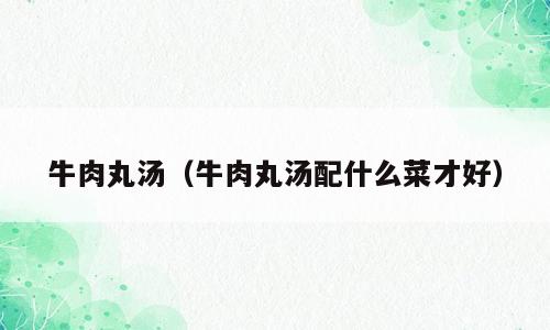牛肉丸汤（牛肉丸汤配什么菜才好）