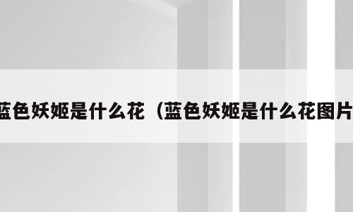 蓝色妖姬是什么花（蓝色妖姬是什么花图片）