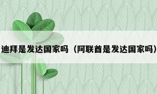 迪拜是发达国家吗（阿联酋是发达国家吗）