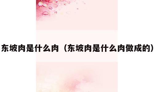 东坡肉是什么肉（东坡肉是什么肉做成的）