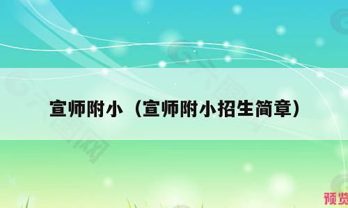 宣师附小（宣师附小招生简章）