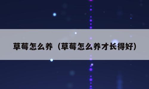 草莓怎么养（草莓怎么养才长得好）