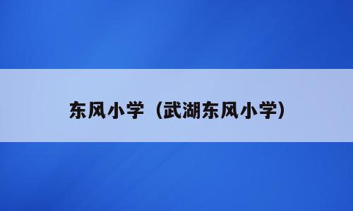 东风小学（武湖东风小学）