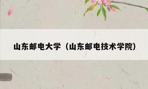 山东邮电大学（山东邮电技术学院）