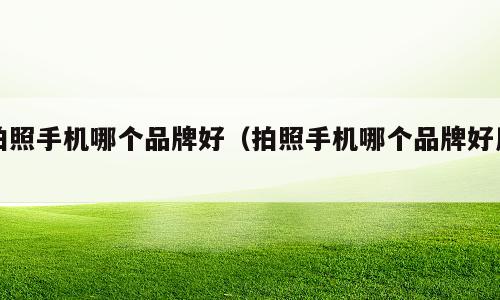 拍照手机哪个品牌好（拍照手机哪个品牌好用）