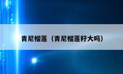 青尼榴莲（青尼榴莲籽大吗）