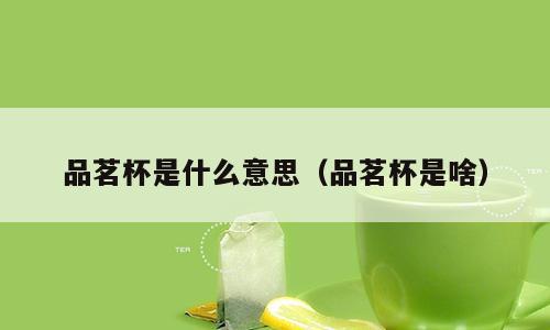 品茗杯是什么意思（品茗杯是啥）