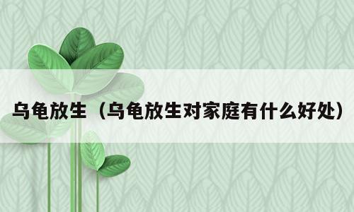 乌龟放生（乌龟放生对家庭有什么好处）