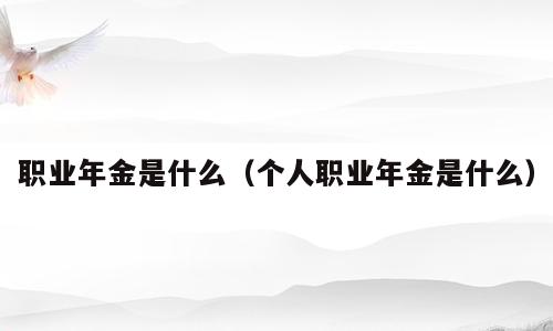 职业年金是什么（个人职业年金是什么）