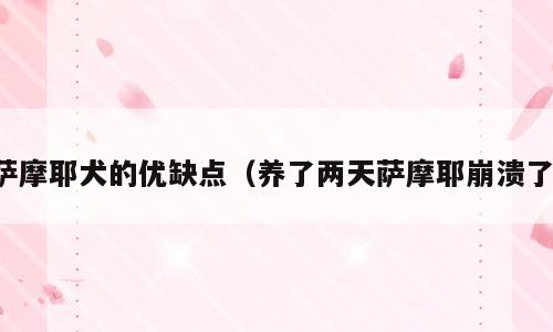 萨摩耶犬的优缺点（养了两天萨摩耶崩溃了）