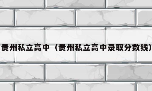 贵州私立高中（贵州私立高中录取分数线）