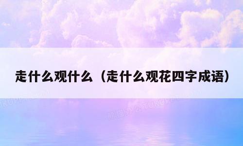 走什么观什么（走什么观花四字成语）